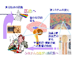 lab concept 2 (Medical Molecular Engineering)