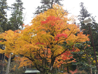 華厳寺の秋