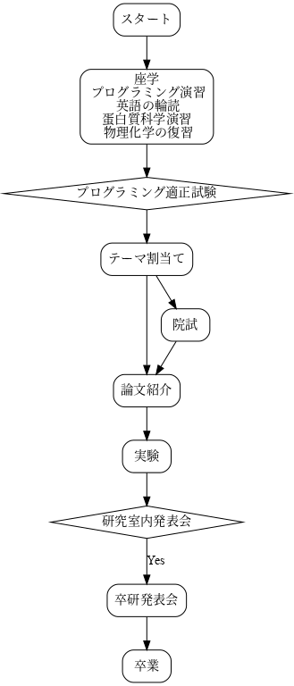 digraph G1 {

    graph [size="4,8"];
    node [shape=diamond] c g ;
    node [shape=parallelogram] ;
    node [shape=box,style=rounded] a b d e g h ;
        a [label="スタート"];
        b [label="座学\n プログラミング演習\n 英語の輪読\n蛋白質科学演習\n 物理化学の復習"];
        c [label="プログラミング適正試験"];
        d [label="テーマ割当て"];
        e1 [label="院試"];
        e [label="論文紹介"];
        f [label="実験"];
        g [label="研究室内発表会"];
        h [label="卒研発表会"];
        i [label="卒業"];

        a->b;
        b->c;
        c->d;
        d->e;
        d->e1;
        e->f;
        e1->e;
        f->g;
        // g->a [label="No"];
        g->h [label="Yes"];
        h->i ;
    }