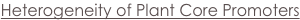shapeimage_1_link_3