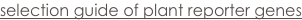 shapeimage_1_link_5