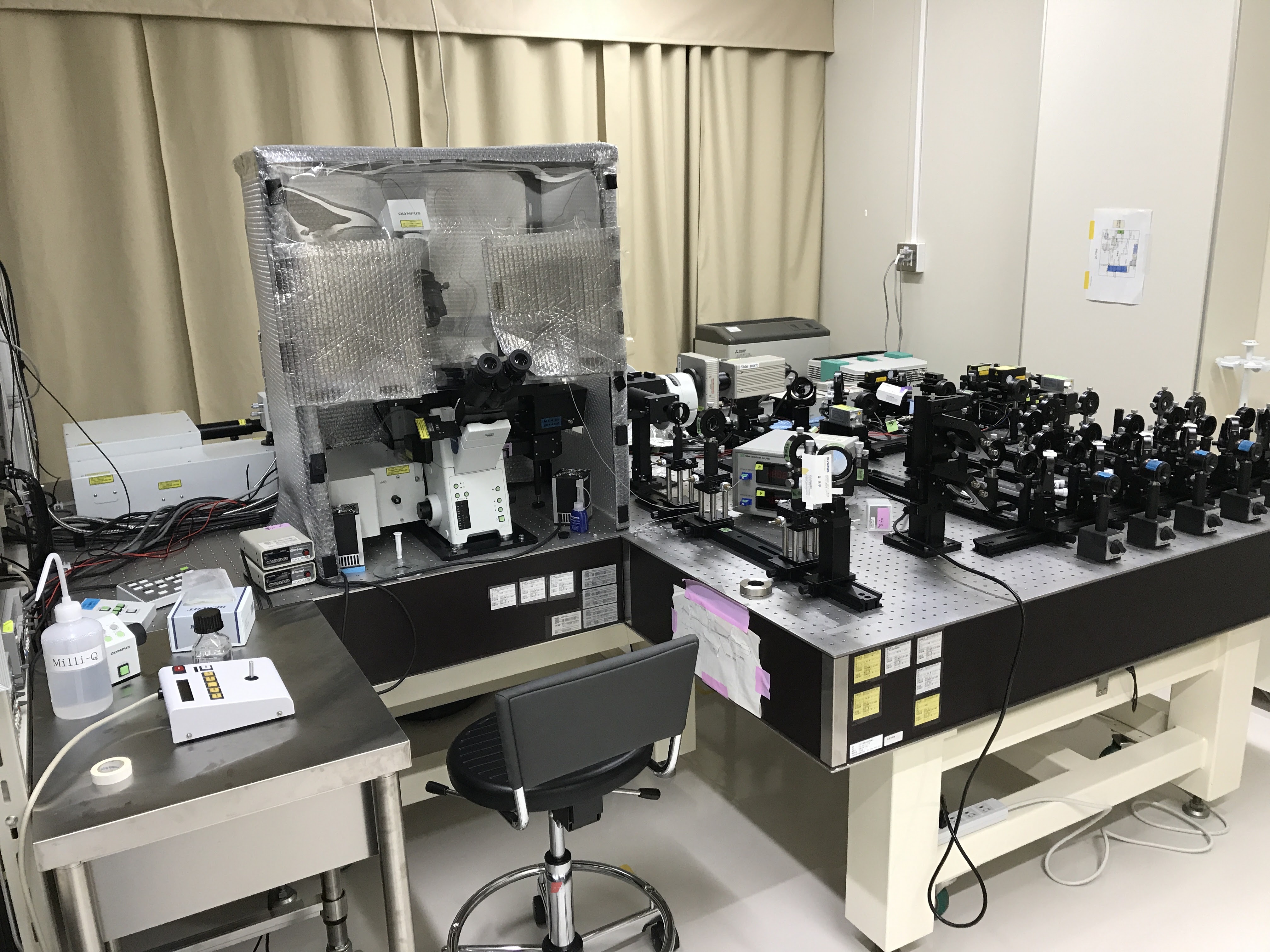 2光子励起共焦点・蛍光1分子同時観察システム