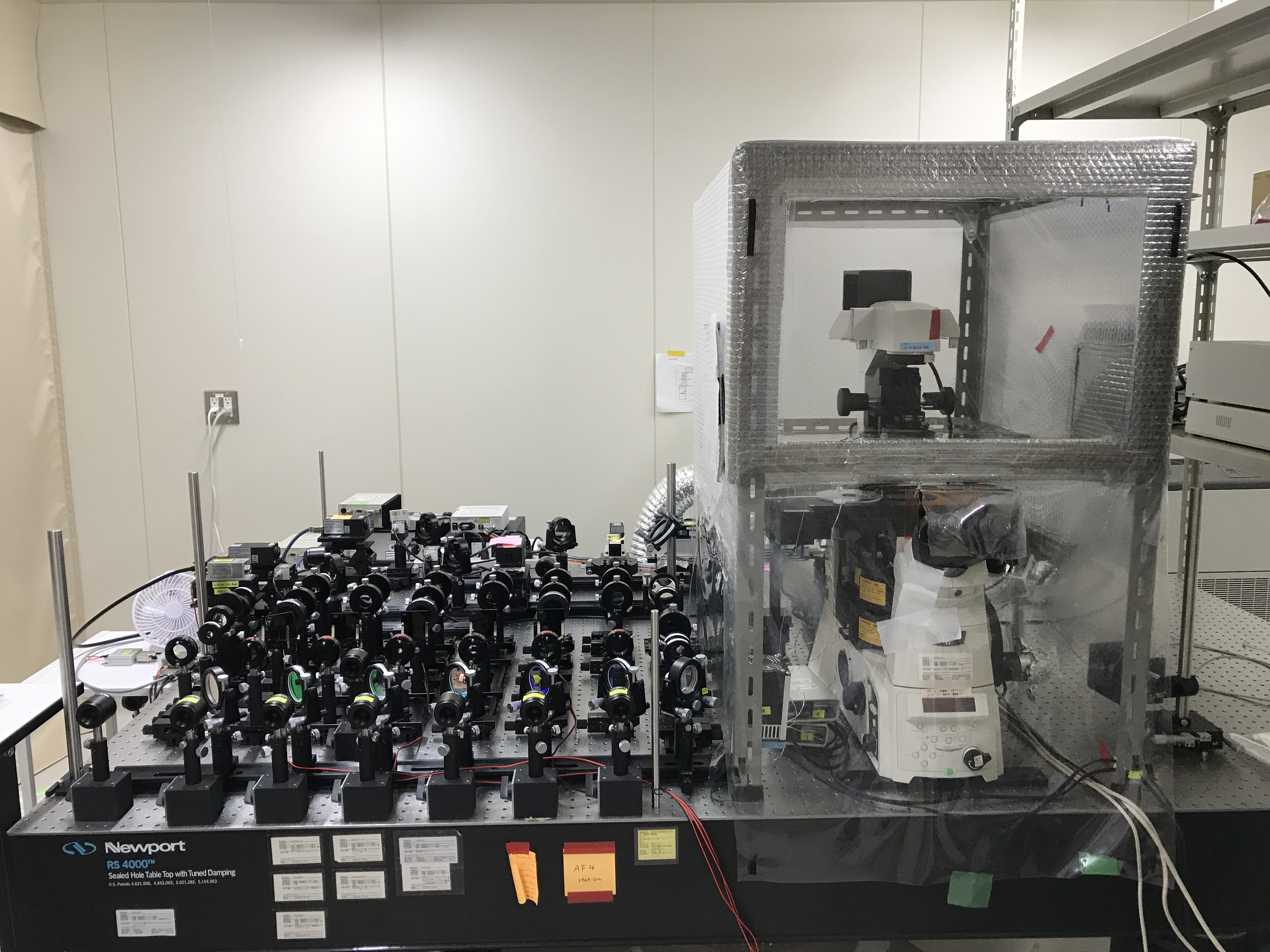 高速1分子蛍光観察システム