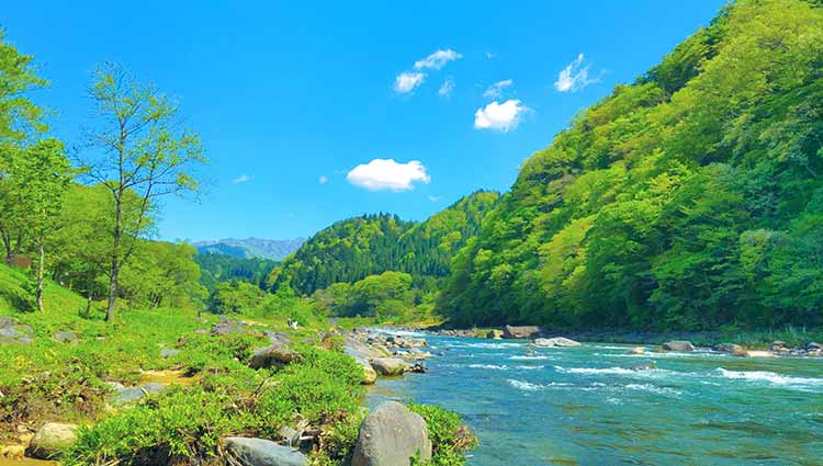 長良川流域における森・里・川の気候変動適応が中山間地域の生業の持続性とウェルビーイングに与える影響の研究