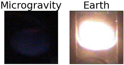 微小重力環境（左）と地上（右）におけるアクリル樹脂シートの燃え拡がり挙動