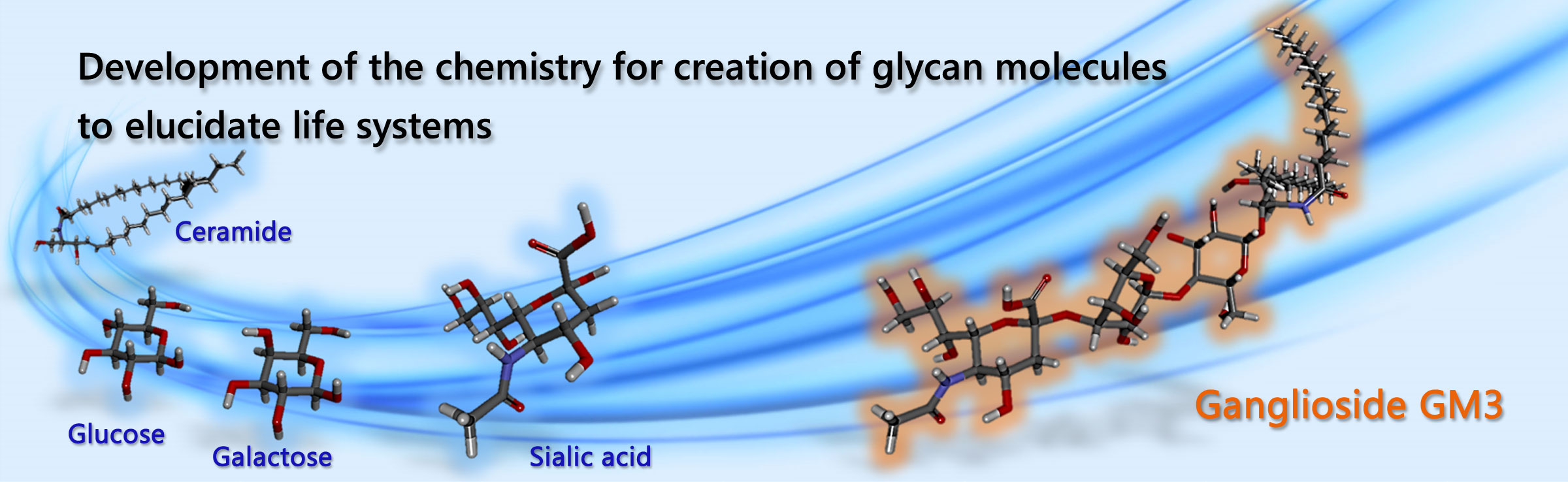 Development of the chemistry for creation of glycan molecules to elucidate life systems