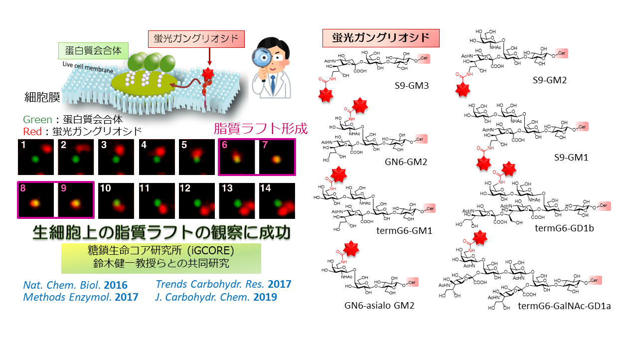 Research 生理活性物質学研究室