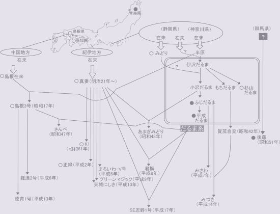 岐阜大学 植物遺伝育種学 ワサビ属植物系統保存