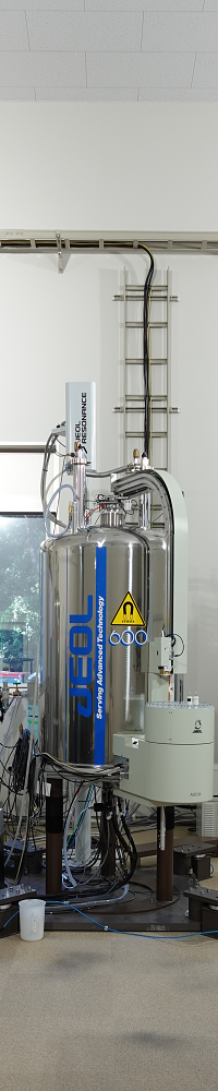 NMR-600