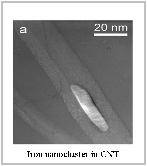 テキスト ボックス:  
Iron nanocluster in CNT
Small2006
