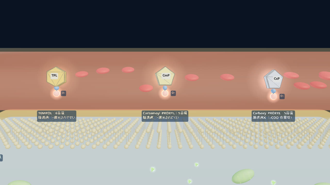 血管と細胞膜の3Dシーンに、TPL・CmP・CxPの3種類のプローブ分子が並ぶ静止画
