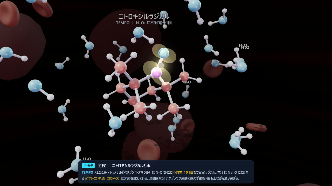 血流中のニトロキシルラジカル（TEMPO）分子と水分子が漂う3Dシーンの静止画