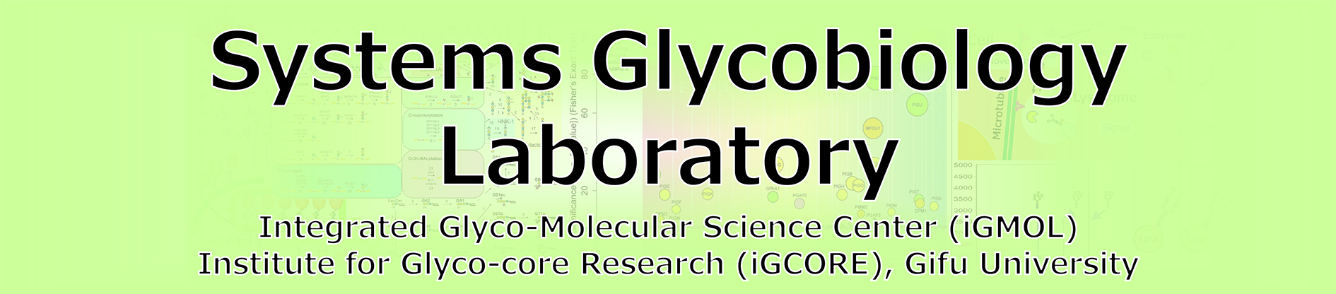 Systems Glycobiology Laboratory, Institute for Glyco-Core Research (iGCORE), Gifu University