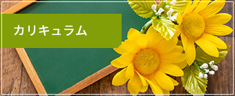 カリキュラム
