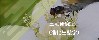 三宅研究室