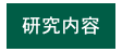 研究内容