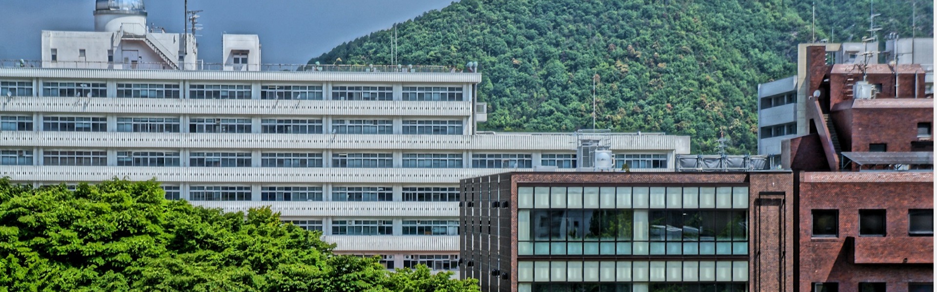 岐阜大学