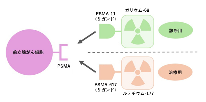 Theranosticsの概念(PSMA)