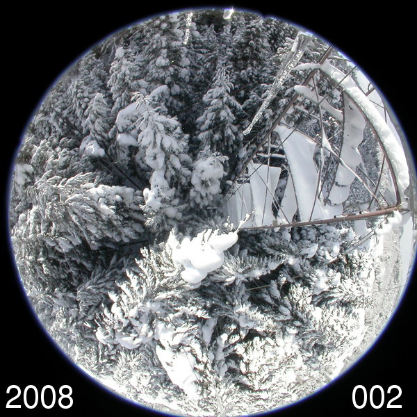 Canopy image (Winter)