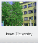 Iwate University
