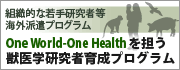 組織的な若手研究者等海外派遣プログラム　One World-One Healthを担う獣医学研究者育成プログラム