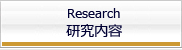 研究内容