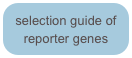 selection guide of reporter genes