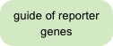 guide of reporter genes